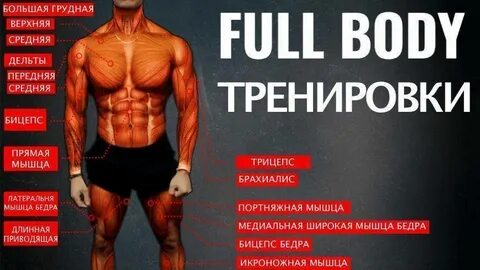 Фулл боди для мужчин