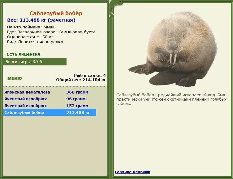 бобер каталог товаров. магазин бобер. магазин бобер псков каталог товаров. бобёр вологда каталог. фирма бобров и компания.
