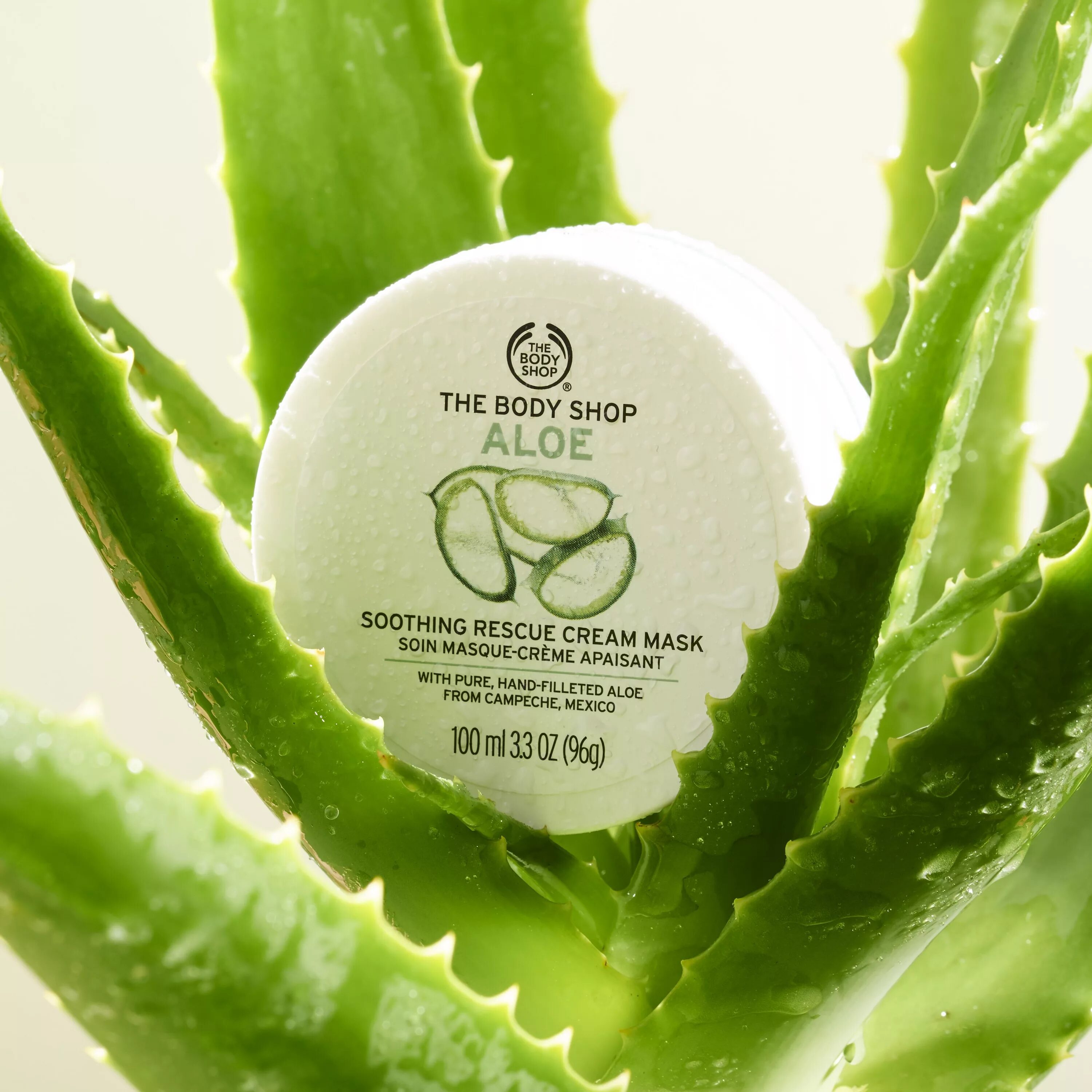 Nature Skin Aloe Vera маска для лица. The body shop Aloe Cream. Body Cream with Aloe Vera. The body shop маска для лица алоэ. Aloe body