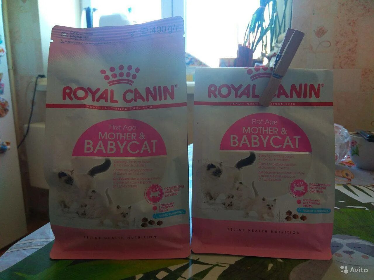 Royal canin babycat. Корм для кормящих кошек. Корма для кормящих кошек: чем кормить после родов.