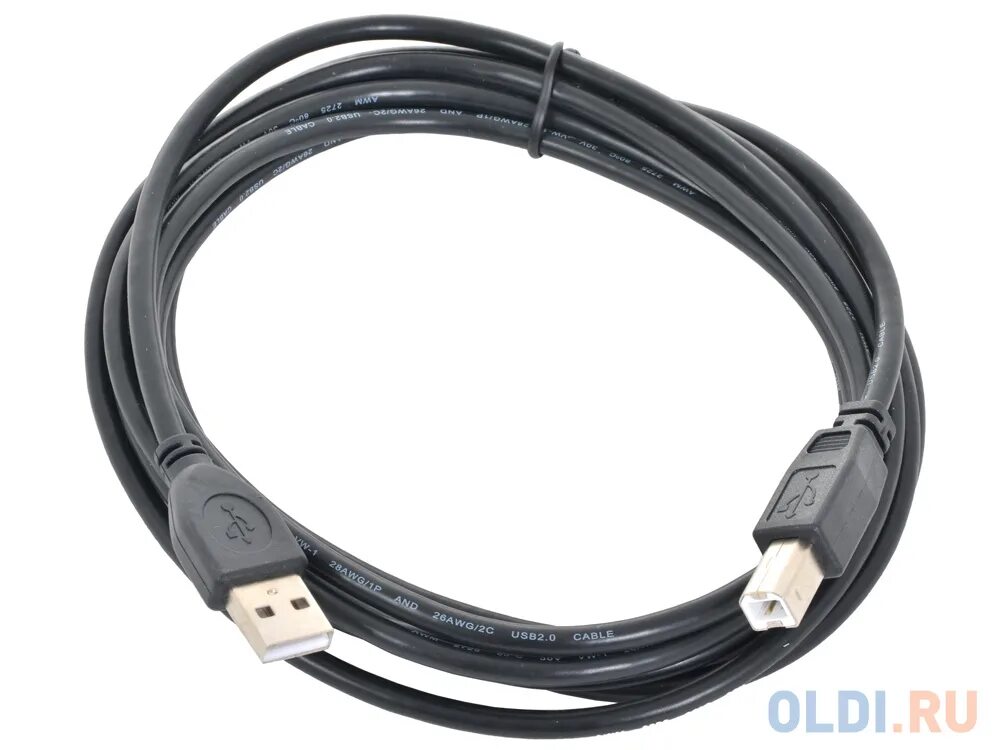 Usb 0.2. Кабель gembird ccf-usb2-ambm-10. кабель usb 2.0 am bm 3м. кабель usb 2.0 gembird am/bm 3 м [. gembird ccp-usb2-ambm-6g.