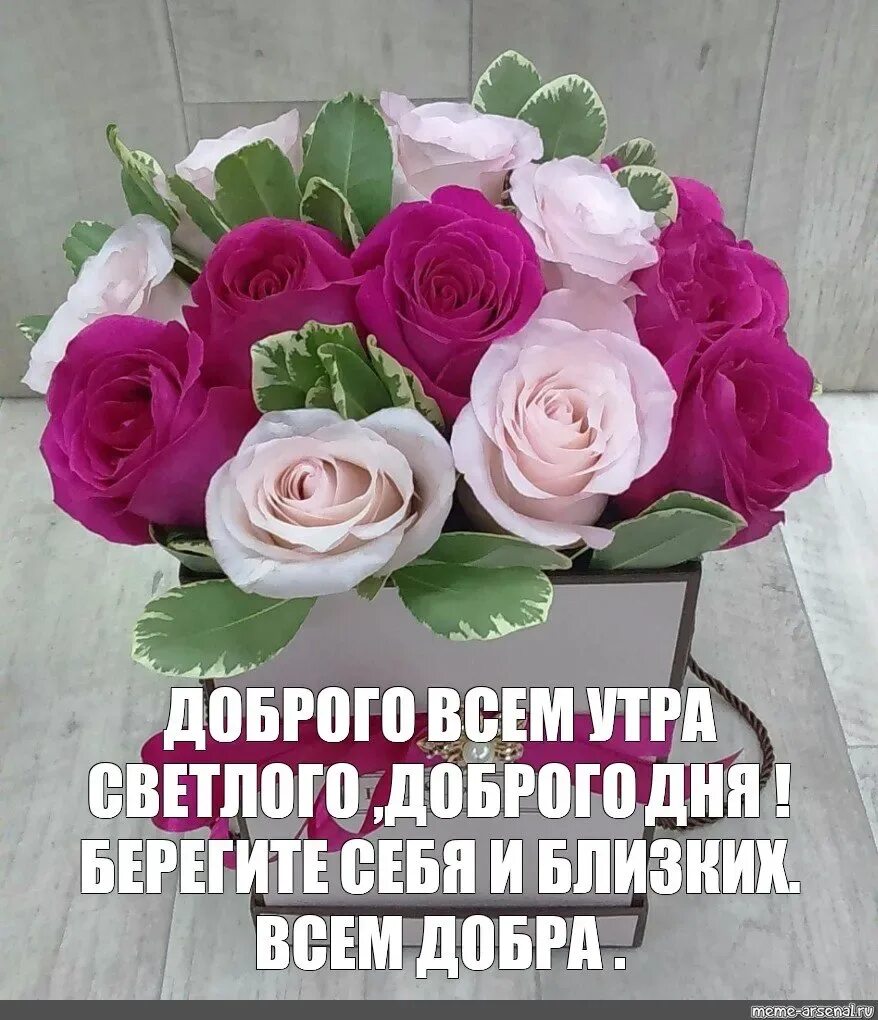 Здорово утро счастливого утра. С добрым утром с пожеланиями здоровья и благополучия. Пожелания счастья и добра с утра. Крепкого здоровья и отличного настроения. Доброе утро доброго здоровья.