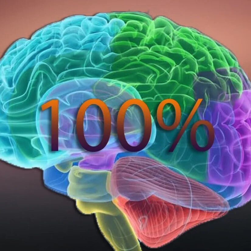 10 процентов мозга. Мозг на 100 процентов. Мозг человека используется. Мозг работает.