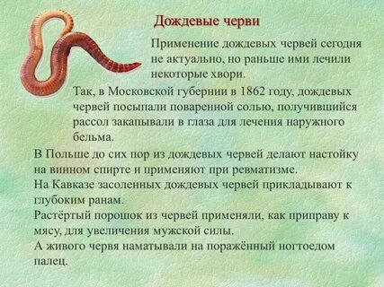 Дождевые черви применение