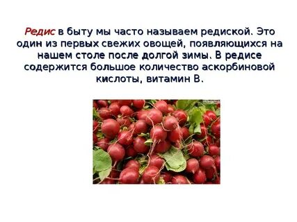 Какие витамины в редиске