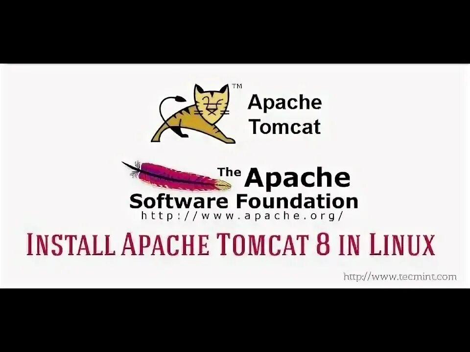 Tomcat org. Tomcat org