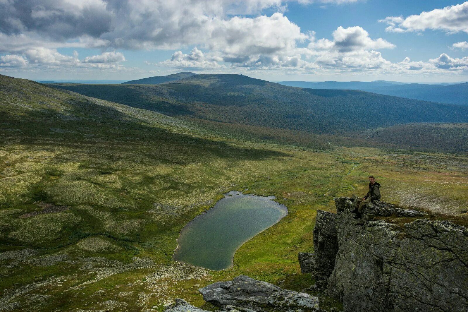 северный уральский. таежные леса полярного урала. дивья гора урал. северный уральский. реки северного урала.