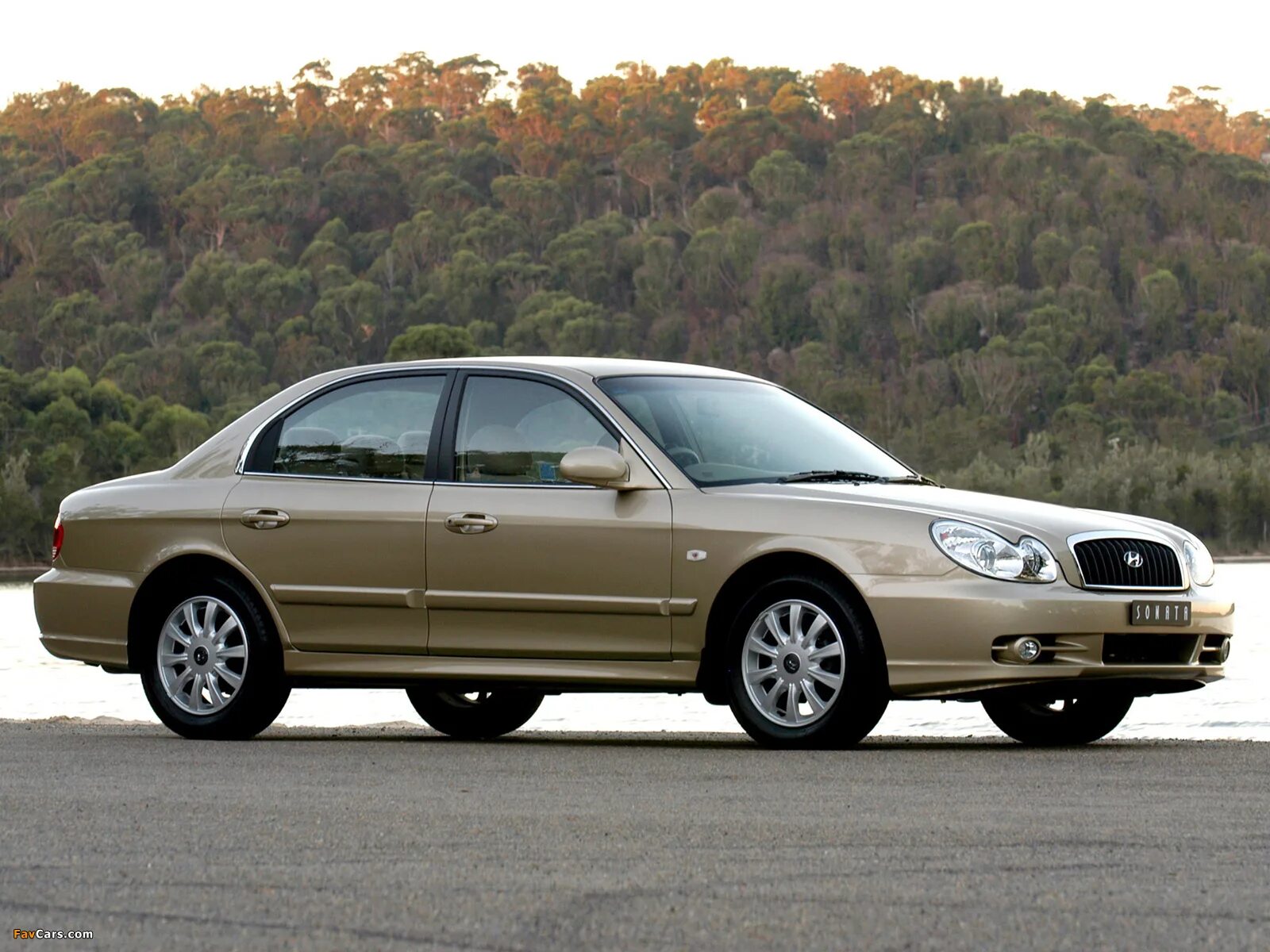 Hyundai поколения. Хендай Соната 2002. Hyundai Sonata 1 поколение. Hyundai Sonata EF 2001. 2002 Hyundai Sonata EF.