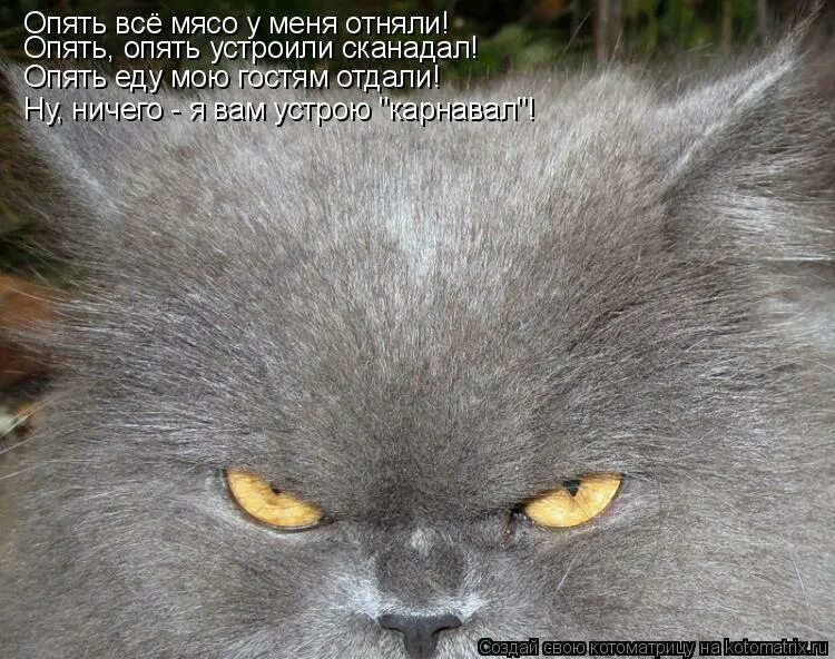 Опять опять заботы. Опять мем. Мне кранты. Вот и выходные пролетели. Опять, снова pinq.