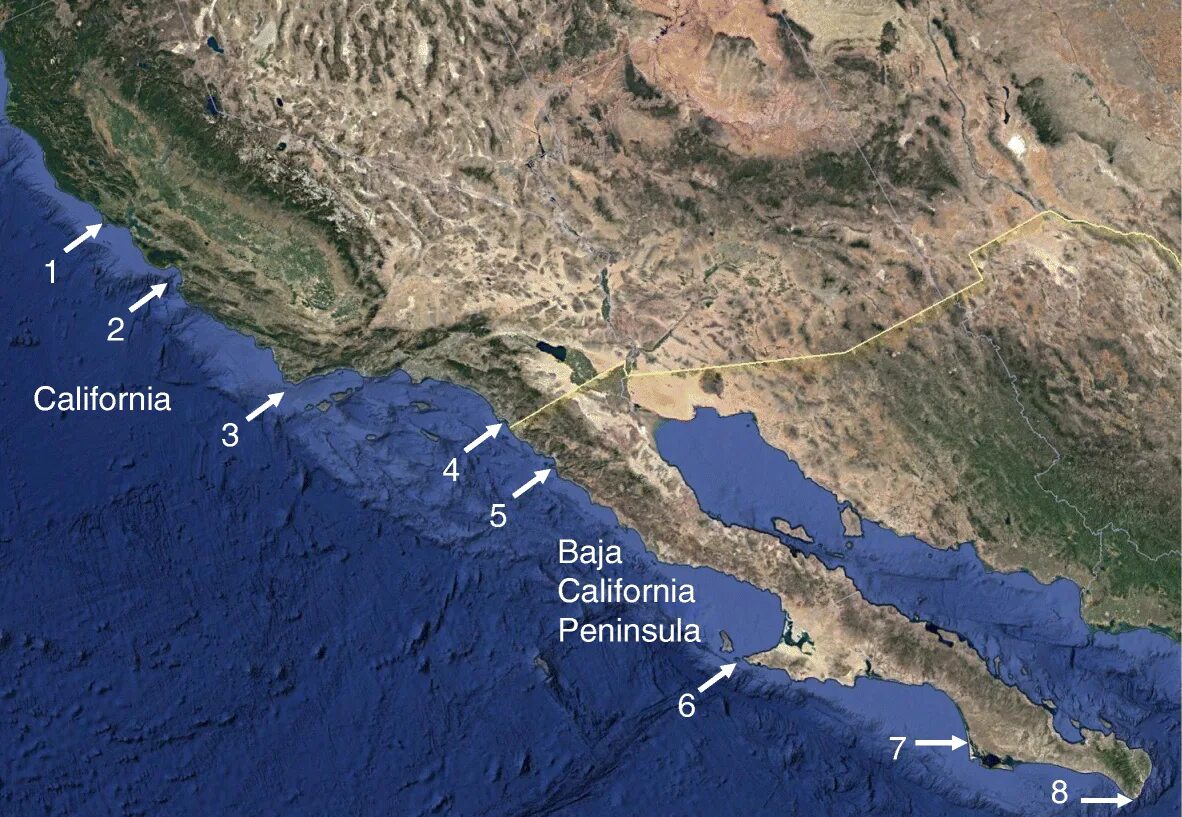Полуостров калифорния находится на. Baja California Peninsula. Залива Томалес. Полуостров Калифорния на карте Тихого океана. Полуостров нижняя Калифорния.