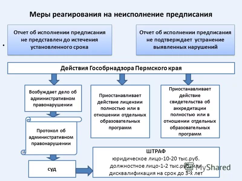 Отчет предписаний