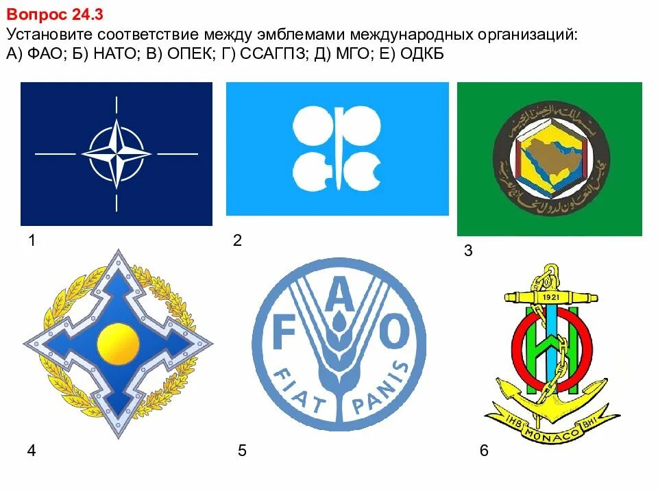 Знаки международных организаций. Гербы международных организаций. Символы различных международных организаций. Международные организациилого.