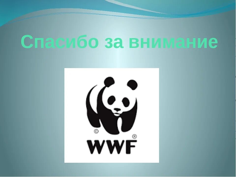 Международный всемирный фонд. Всемирный фонд дикой природы WWF. Всемирный фонд дикой природы эмблема. Панда символ Всемирного фонда дикой природы. Всемирный фонд дикой природы цели.