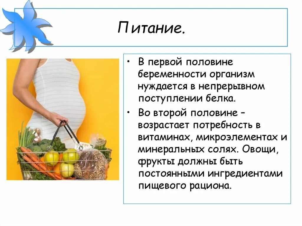 Причины кровотечения во 2 половине беременности. Меню для женщины во второй половине беременности. Во второй половине беременности. Гестозы беременных. Теории возникновения жизни на земле.