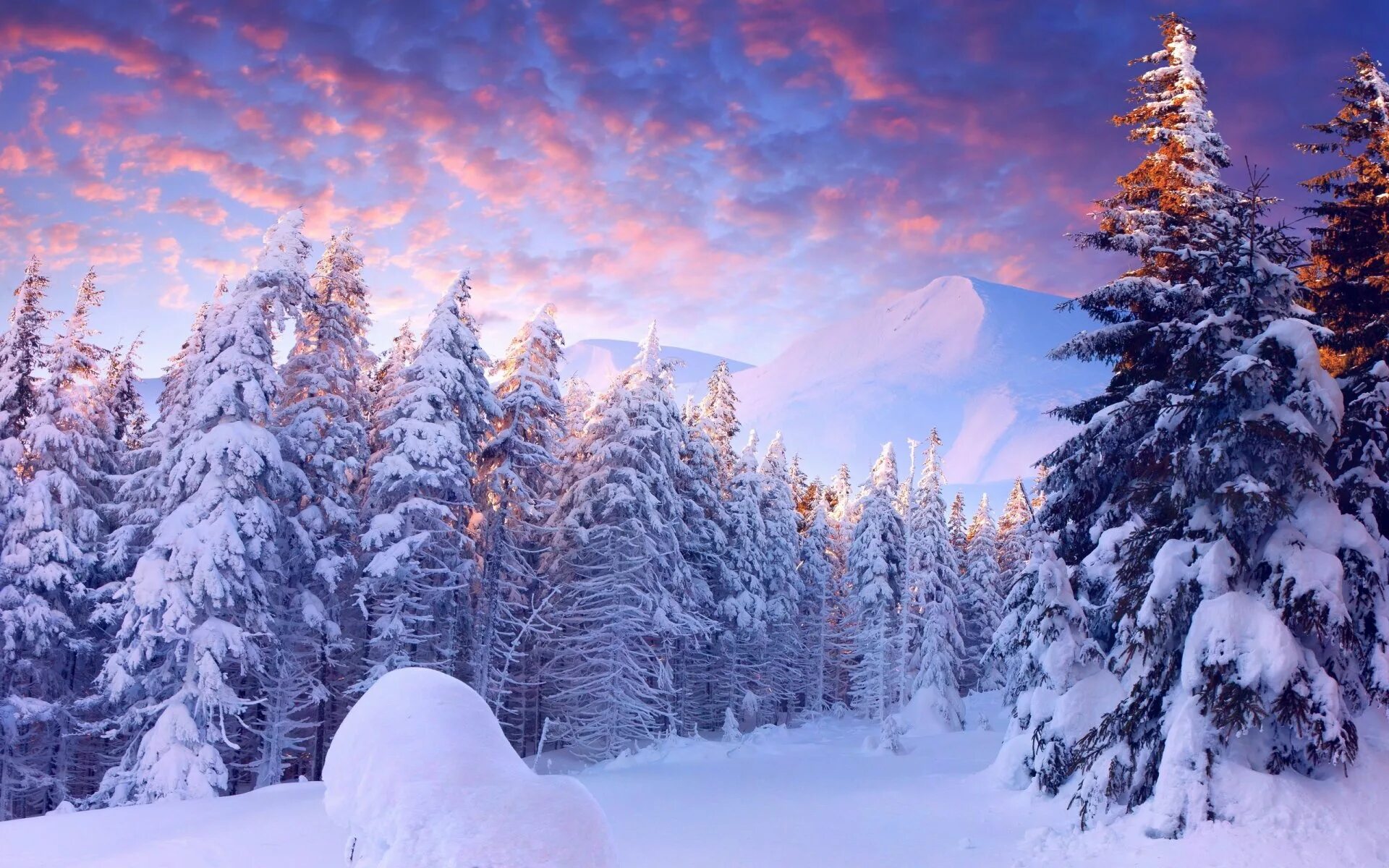 Красивый зимний лес. Зима. Зима пейзаж. Снежный пейзаж. Снежная зима.