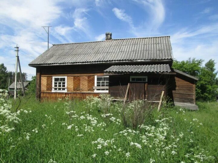 Хвойная деревня. Ракитино Новгородская область Хвойнинский район. Деревня Бельково Новгородская область Хвойнинский район. Поселок Анциферово Хвойнинский район. Деревня Ракитино Новгородская область.