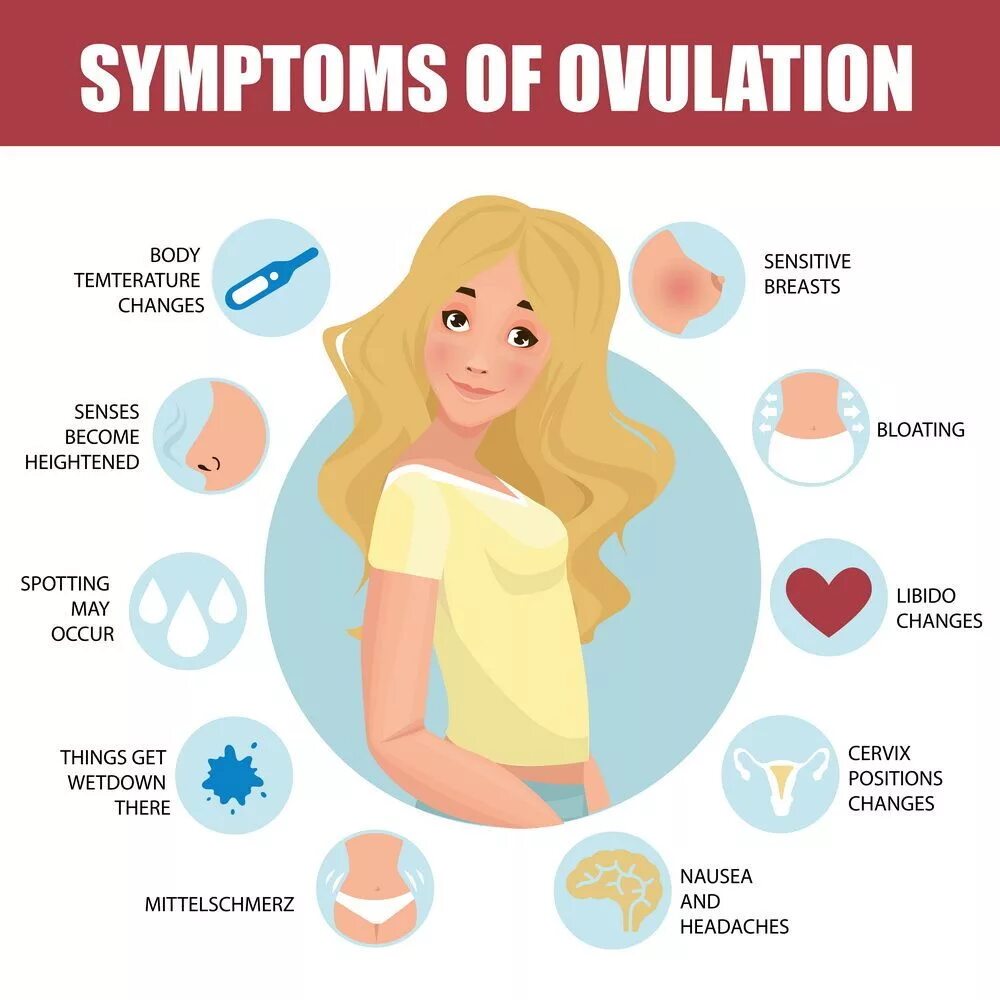 Симптомы 1 месячных. Овуляция симптомы. Признаки овуляции. Что такое овуляция у женщин. Симптомы в день овуляции у женщин.