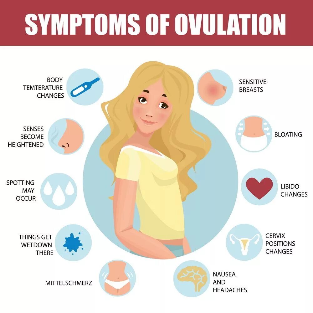 Месячные пришли признаки. Овуляция симптомы. Признаки овуляции. Что такое овуляция у женщин. Симптомы в день овуляции у женщин.