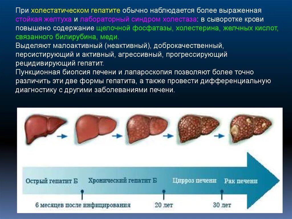 Увеличен край печени. Острый и хронический гепатит. Биопсия печени при гепатите.