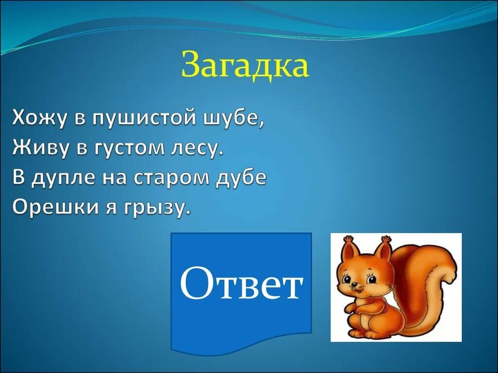 Загадки. Загадки на любую тему. 2 Любых загадки. Любые загадки с ответами. Напиши 5 загадок