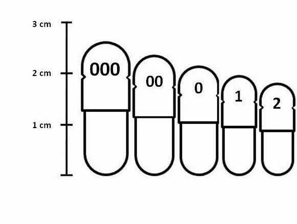 Типоразмеры желатиновых капсул. Размер капсулы 00. Типоразмеры желатиновых капсул. Капсула размер 2. Капсула размер 2.