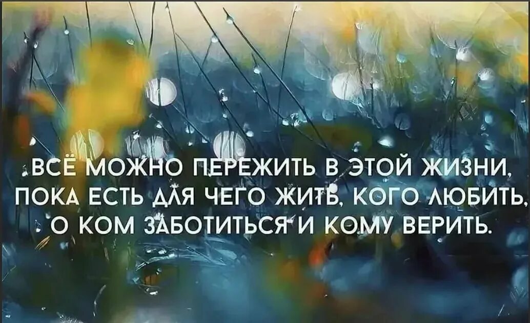 Верим ценим