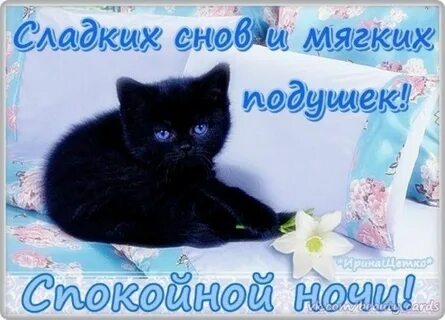 Живой желать