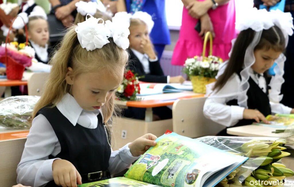 Сентября прийти в школу. 1 Сентября дети. Школа 1 сентября. Школы с первого сентября. 1 Сентября фото детей.