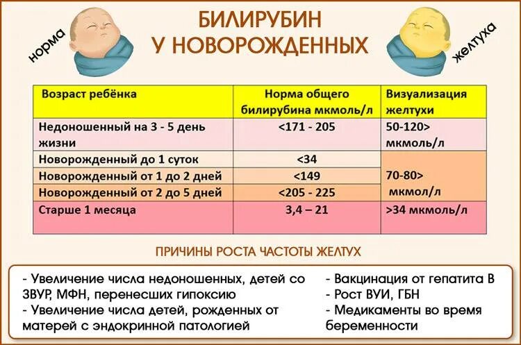 Желтушка у новорожденных нормы показателей. Желтушка у новорожденных норма билирубина. Норма уровня желтушки у новорожденных. Показатели билирубина у новорожденных при желтушке норма в крови. Физиологическая желтуха у новорожденных сколько