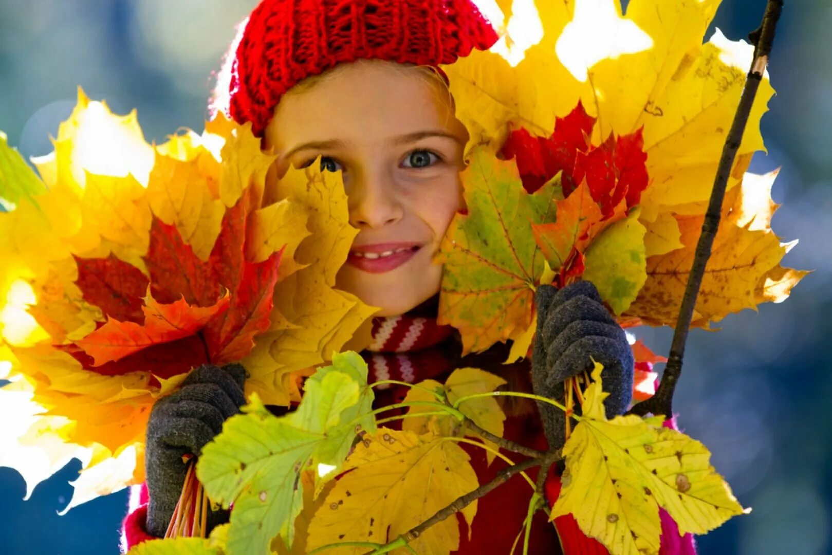 Наблюдать осенний. Девочка с осенними листьями. Осенний букет в детских руках. Девочка с букетом из листьев. Букет осенних листьев.