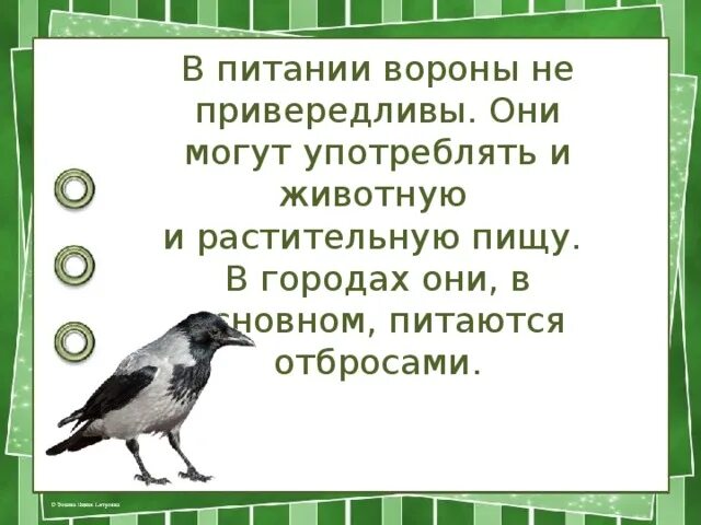 Скороговорки про ворон. Ворона и Воробей. Сравнение воробья и вороны. Ворона Воробей младшая группа. Ворона и Воробей сравнение.