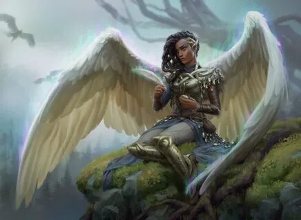 Could angel