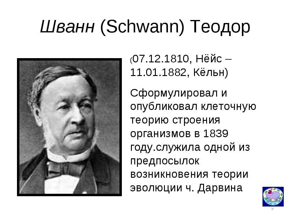 Т шванн сформулировал. Теодор шванн философия. теодор шванн вклад в философию. т шванн 1839. т шванн вклад в биологию.