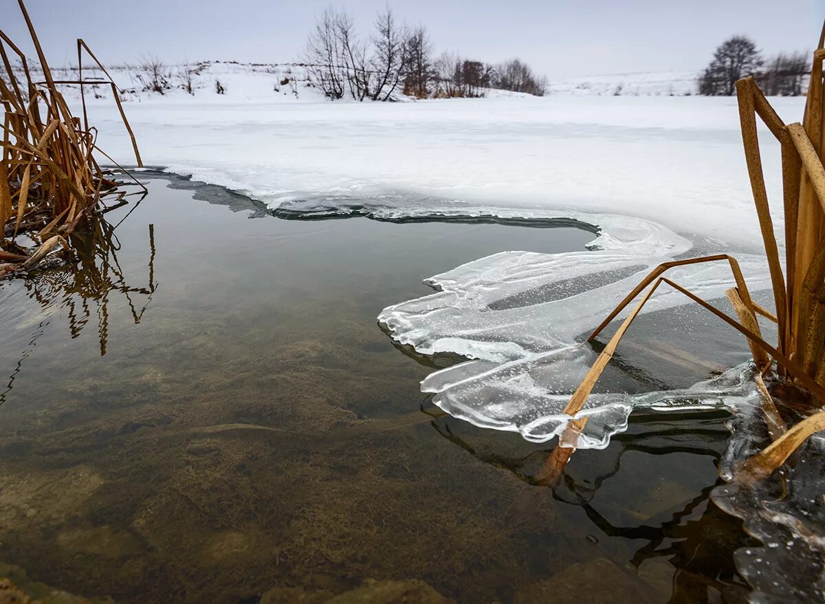 Замерзают ли озера. Замерзший водоем. Лед на реке. Водоем зимой. Лед на водоеме.