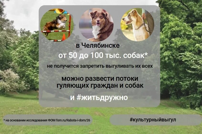 Объявление выгул собак. Выгул собак объявление. объявление о выгуле собак за деньги. объявление по выгулу собак. объявление выгульщика собак нужен.