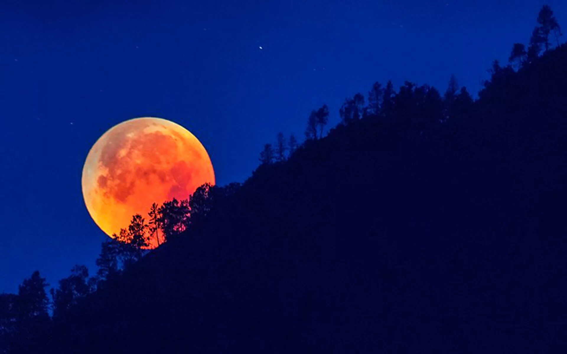 Лунное затмение 2025. Лунное затмение. Лунное затмение картинки. Оранжевая Луна. Затмение Луны.