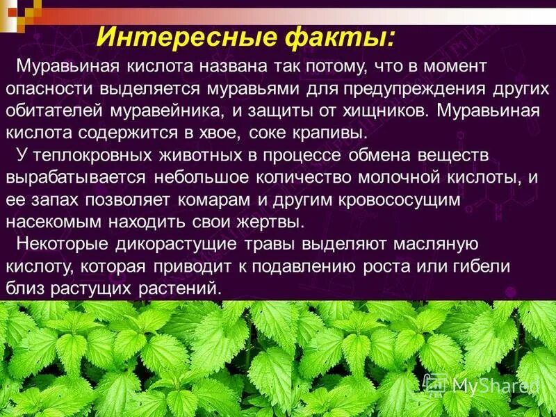 Муравьиная кислота интересные факты. Интересные факты о кислотах. Карбоновые кислоты интересные факты. Муравьиная кислота интересные факты химия. Какая кислота в крапиве