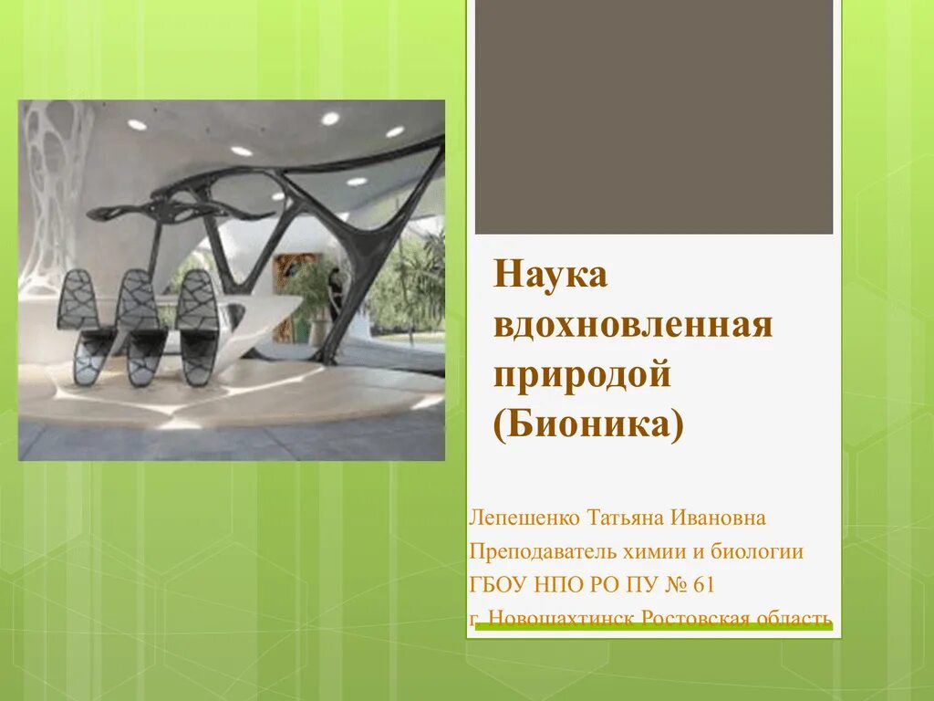 Бионика изобретения. Бионика растительные объекты. Общеморфологическая бионика. Бионика природа. Бионика паутина.