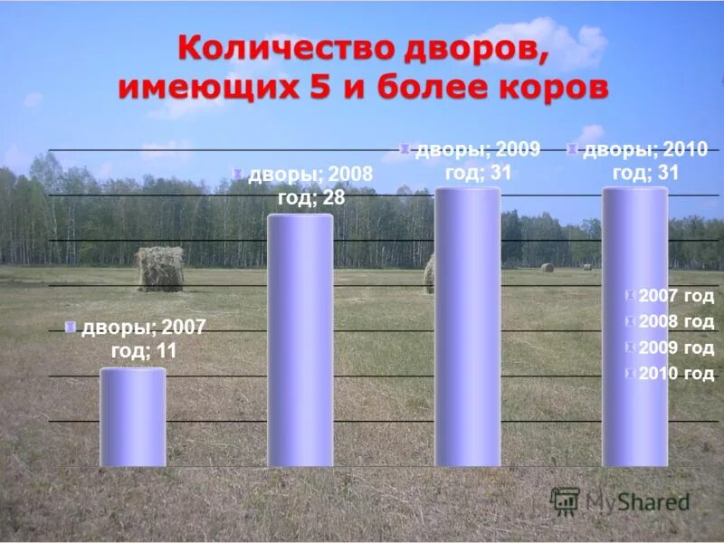 Детская площадка в москве. Программа 1000 дворов. Детские дворы в лобне. Кемерово 2020 год. Находка благоустройство 2020.