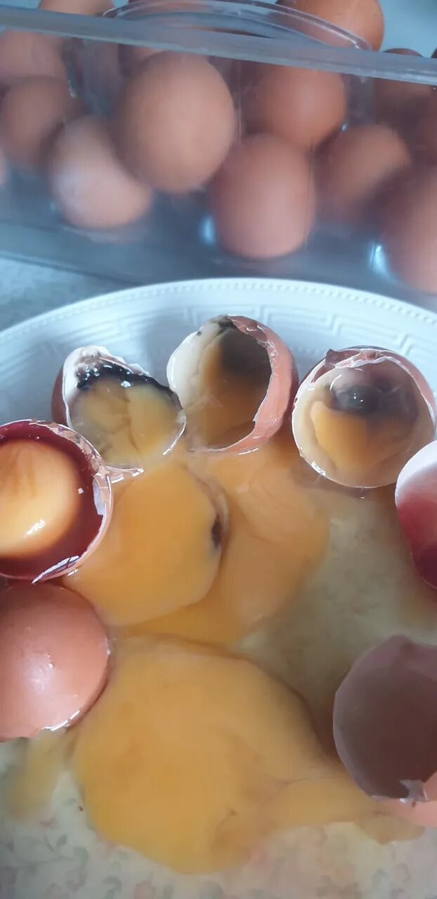 Во рту тухлый яиц. Тухлое яйцо. Китайские тухлые яйца. Гнилые яйца.
