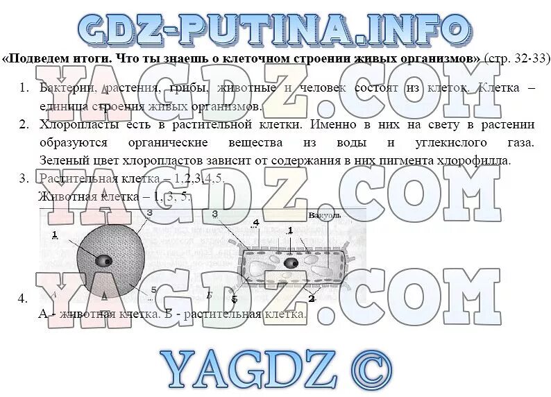 таблица по биологии за 8 класс. параграф 6 биология 8 класс. таблица по биологии 8 класс колесов. учебник. параграф 6 биология 8 класс.