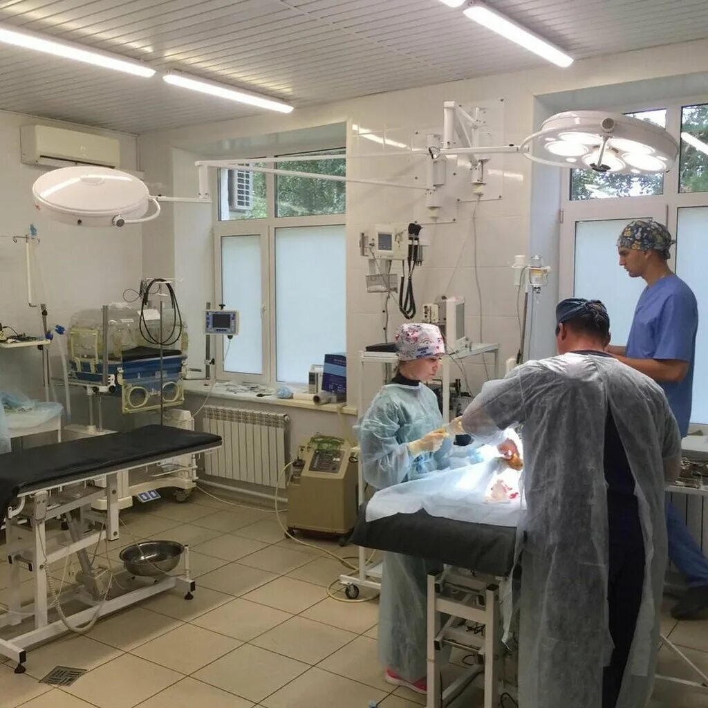 Le (2230) светильник хирургический. медицинский хирургический светильник fotonfly 5м. светильник хирургический fotonfly standard. медицинский хирургический светильник fotonfly 5м. фотон флай.