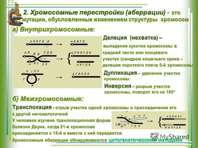 Хромосомные обсервации. Метод хромосомных аберраций. Хромосомные и хроматидные аберрации. Сбалансированная реципрокная транслокация. Хромосомные мутации аберрации.