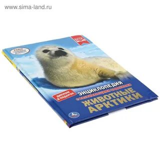 Арктика энциклопедия