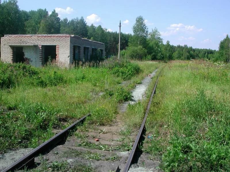 Рошаль мишеронский. Кладбище Чернятино Черусти. Станция Тасино. Ж/Д ветка Рошаль-Черусти. Черусти ветка.