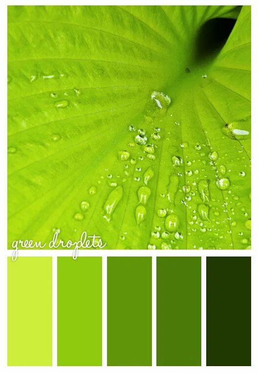 К оттенкам зеленого цвета относится. Палитра зеленого цвета. Цветовая палитра салатовый. Салатный цвет палитра. Красивые оттенки зеленого.