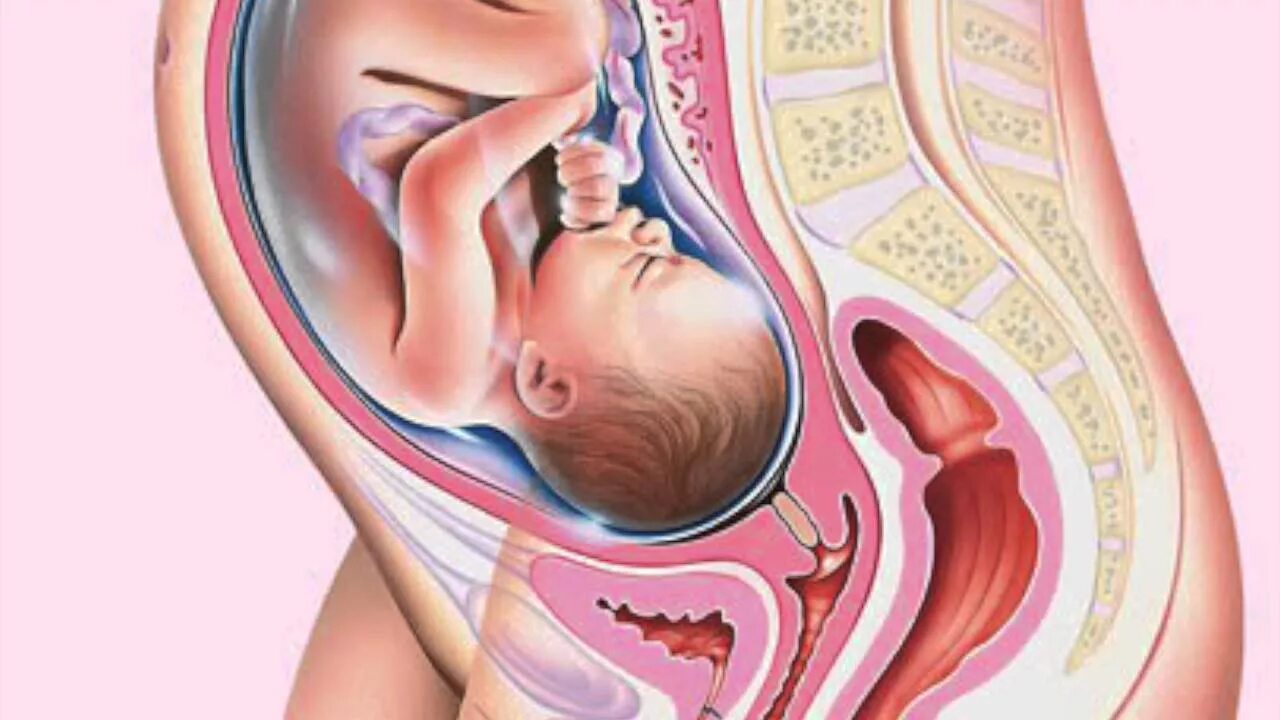 34 беременности что происходит с малышом. Ребёнок на 35 неделе беременности. Расположение ребенка на 35 неделе. Плод на 35 неделе беременности.