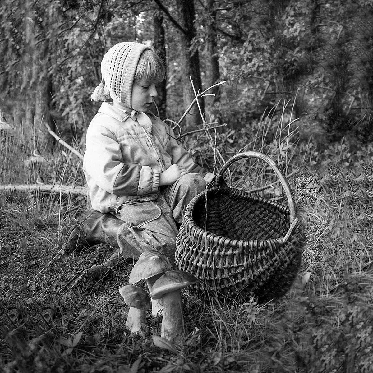 Пошли три мальчика. Дети собирают ягоды. Дети собирают ягоды в лесу. Деревенские дети осенью. Грибы в лесу.