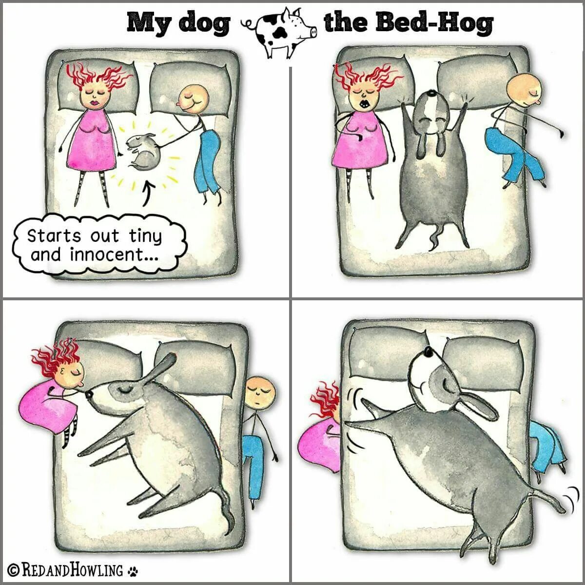 Hog перевод. Bed Hog. Картинки Love is Dog. Love is собачка.