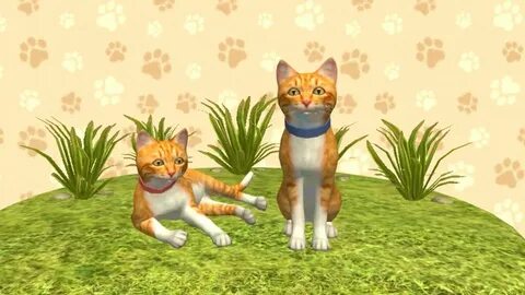 Игры кошки любовь